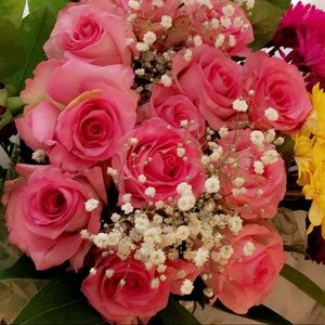 Meet your Posher, Denise